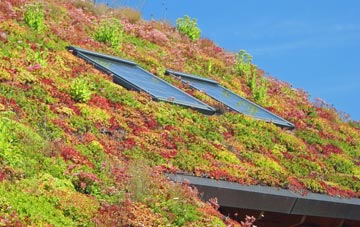 Llanthony living roof systems